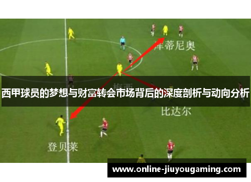 西甲球员的梦想与财富转会市场背后的深度剖析与动向分析
