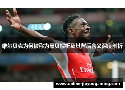 维尔贝克为何被称为黑贝解析及其背后含义深度剖析